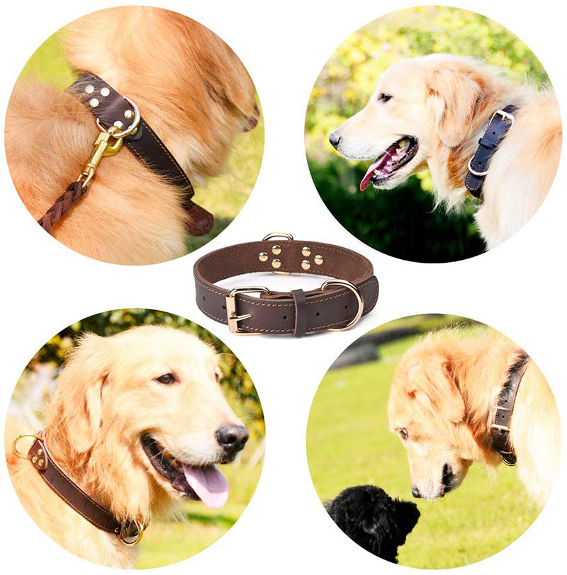 JMT-508234 Cowhide Leather Dog Collar - Available in Black and Light Brown, Multiple Sizes for Comfortable Fit