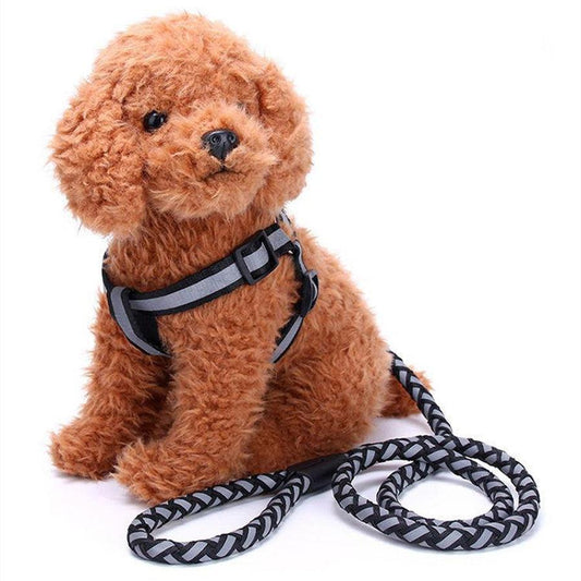 JMT-509066 Reflective Braided Pet Leash and Harness Set – Durable Nylon for Small to Medium Dogs, Available in Multiple Colors