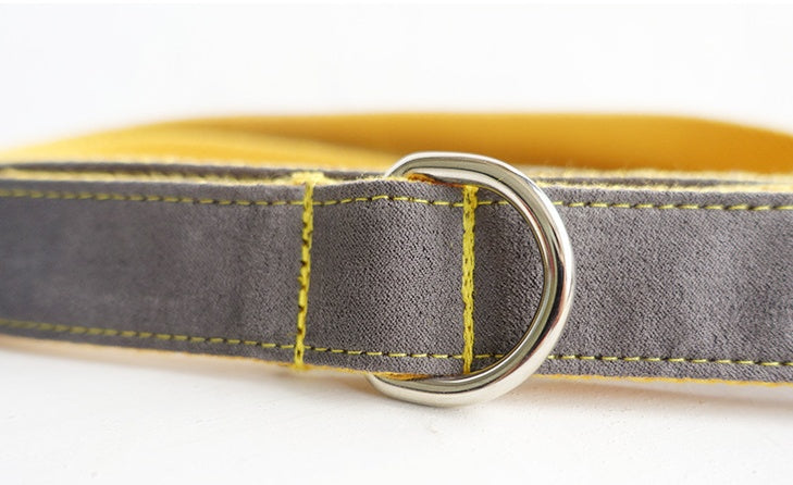 JMT-510218 Medium to Large Dog Traction Collar and Rope Set in Light Blue and Yellow