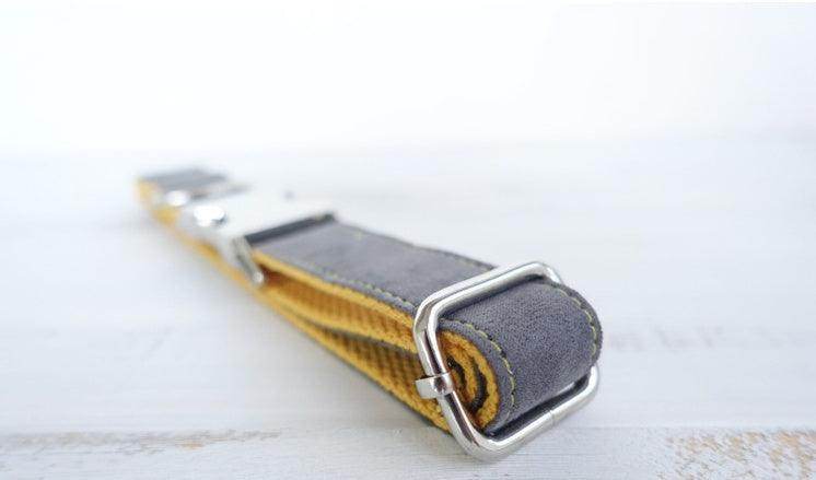 JMT-510218 Medium to Large Dog Traction Collar and Rope Set in Light Blue and Yellow