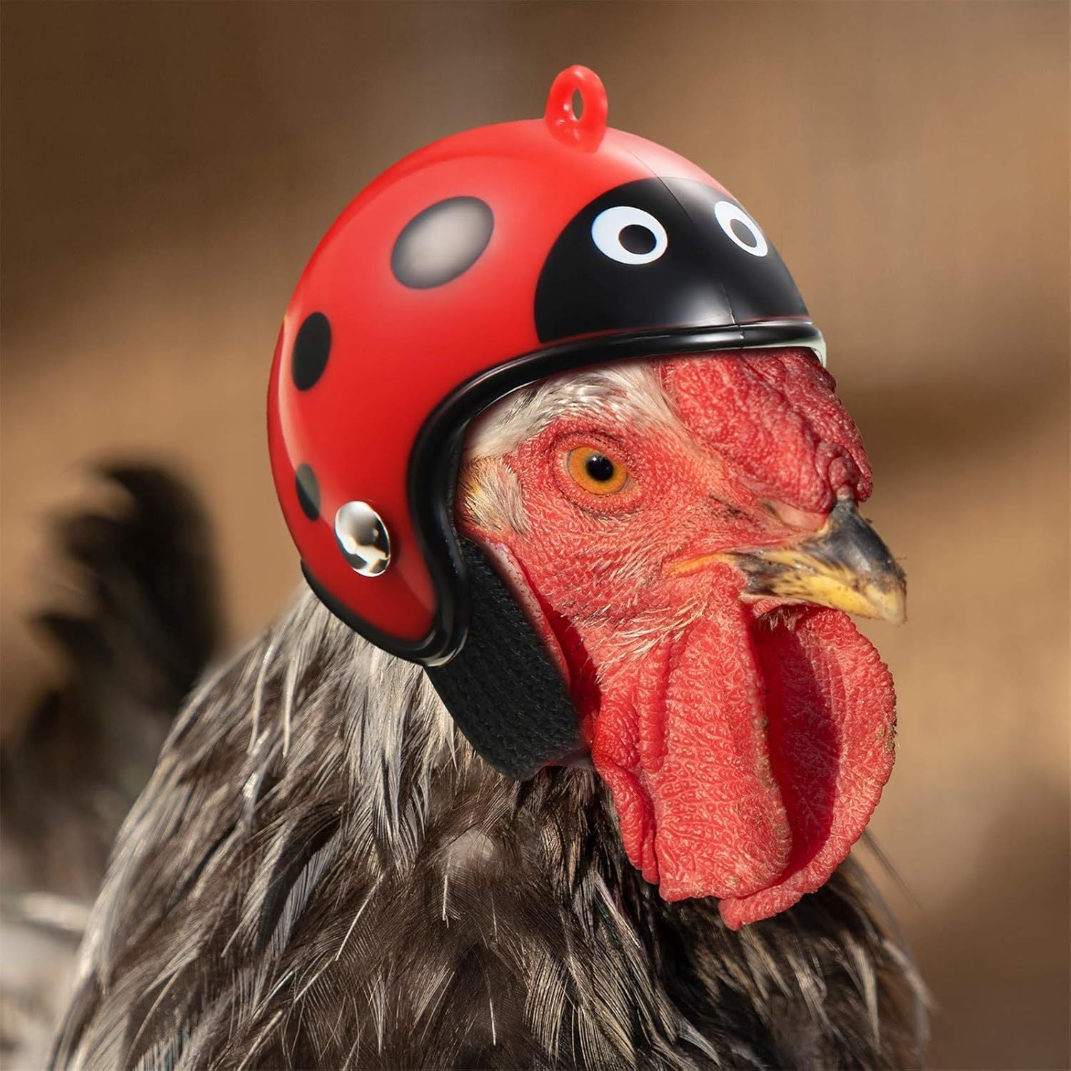 JMT-511690 Adjustable Pet Helmet for Small Birds and Chickens – Protective Headwear for Sunny and Rainy Days