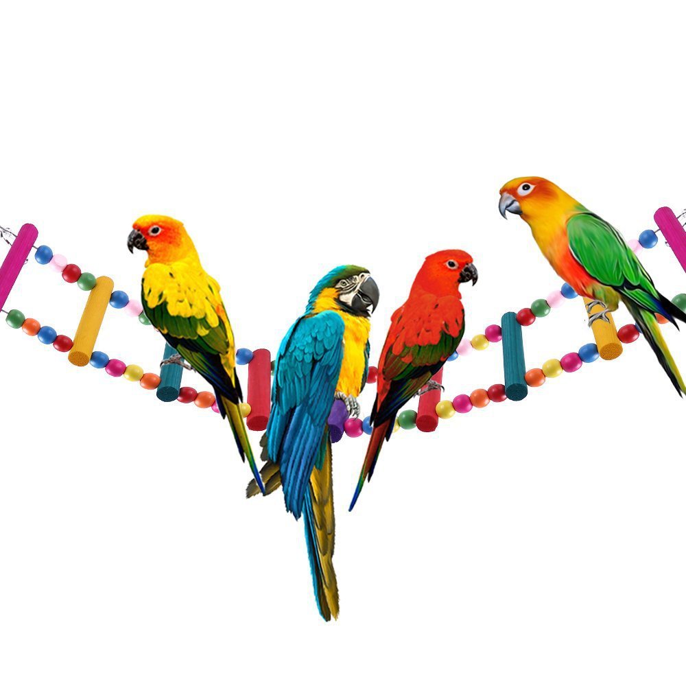 JMT-516298 Colorful Wooden Bead Ladder Toy for Birds – Multiple Length Options Available