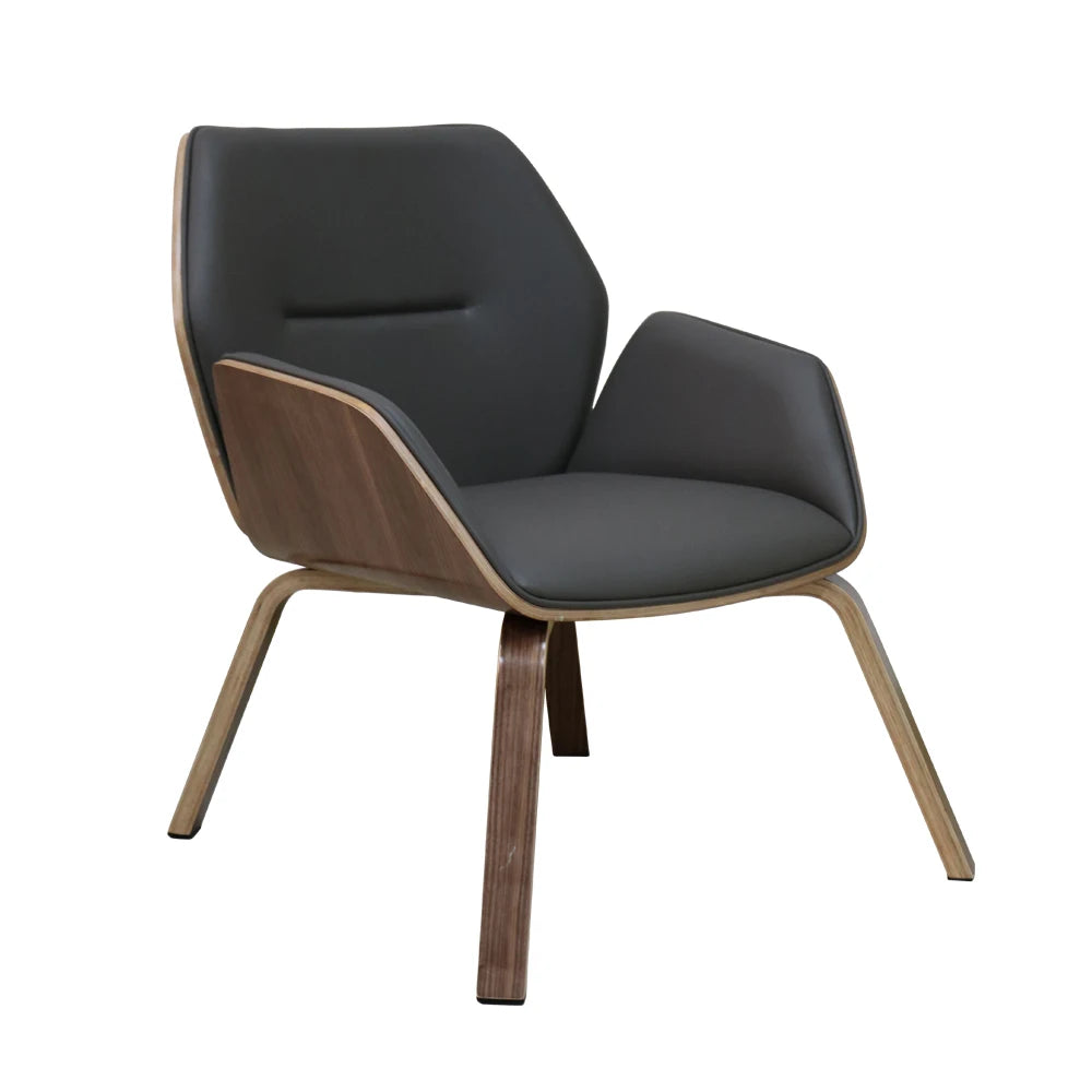 JMT-517386 Modern Bent Wood Frame Lounge Chair for Living Room - Comfortable and Stylish Design