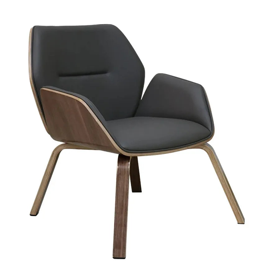 JMT-517386 Modern Bent Wood Frame Lounge Chair for Living Room - Comfortable and Stylish Design