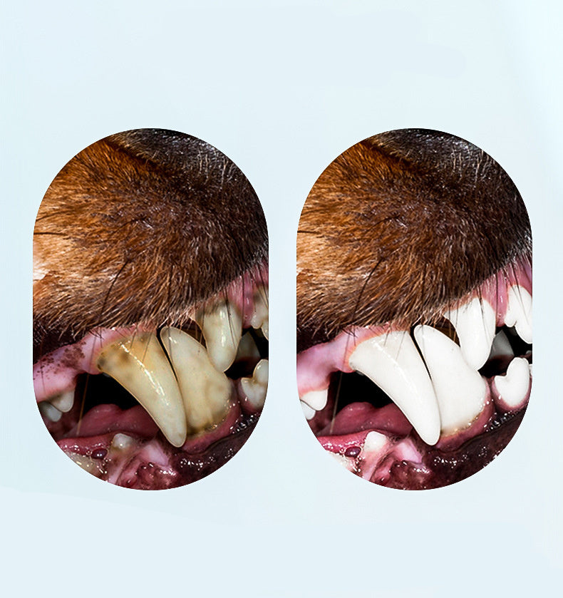 JMT-518922 Interactive Chew Dog Toothbrush Toy - Small Octopus Design for Clean Teeth and Fresh Breath