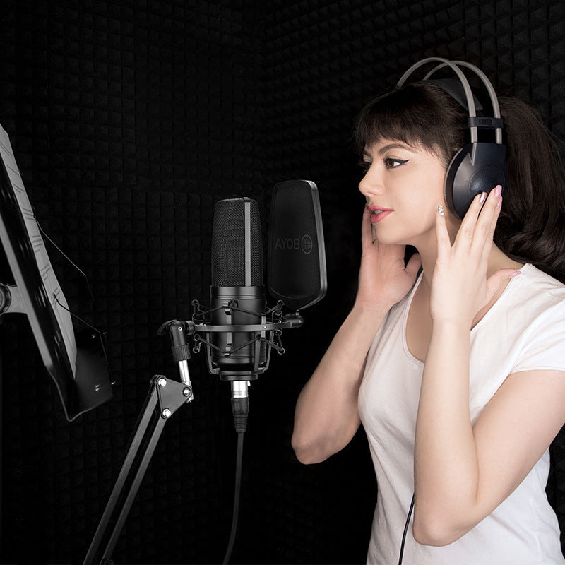 JMT-519114 Large Diaphragm Cardioid Condenser Microphone for Recording and Live Broadcast - Model BY-M1000