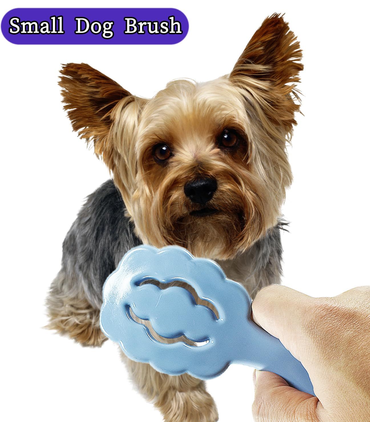 JMT-520010 Cloud-Shaped Small Dog Grooming Brush for Gentle Grooming of Puppies and Small Breeds