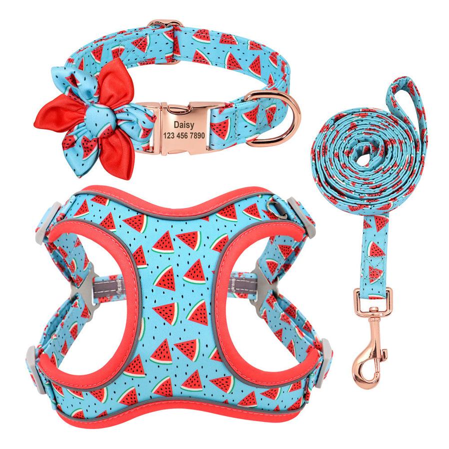 JMT-520266 Small Dog Leash and Collar Set with Adjustable Towing Rope for Corgis and Other Breeds
