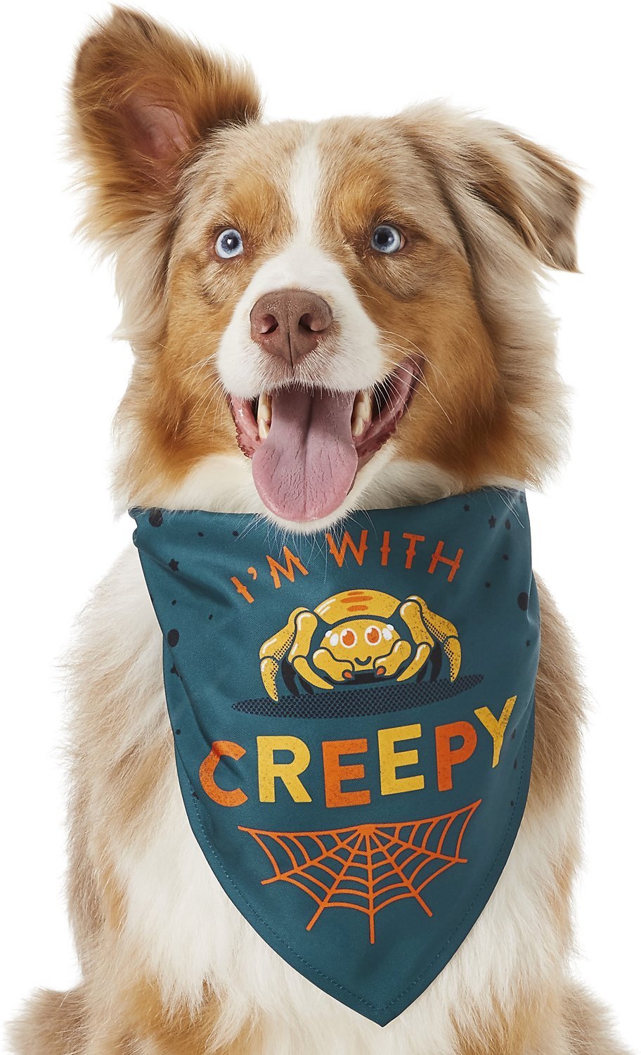 JMT-520394 Pet Triangle Scarf - Funny Bib for Dogs and Cats in Multiple Colors