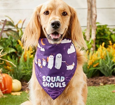 JMT-520394 Pet Triangle Scarf - Funny Bib for Dogs and Cats in Multiple Colors