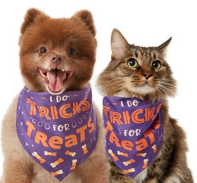 JMT-520394 Pet Triangle Scarf - Funny Bib for Dogs and Cats in Multiple Colors