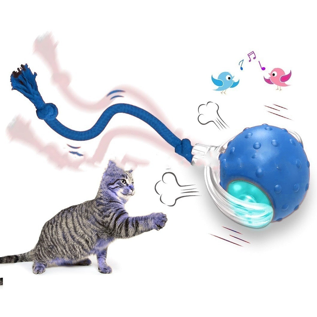 JMT-524682 Interactive Rolling Cat Toy with Motion and Sound Features - Auto Shut Off and Three Speed Modes