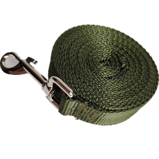 JMT-524874 Durable Nylon Dog Leash - 2.5CM Wide, Multiple Lengths Available in Blue, Black, Red