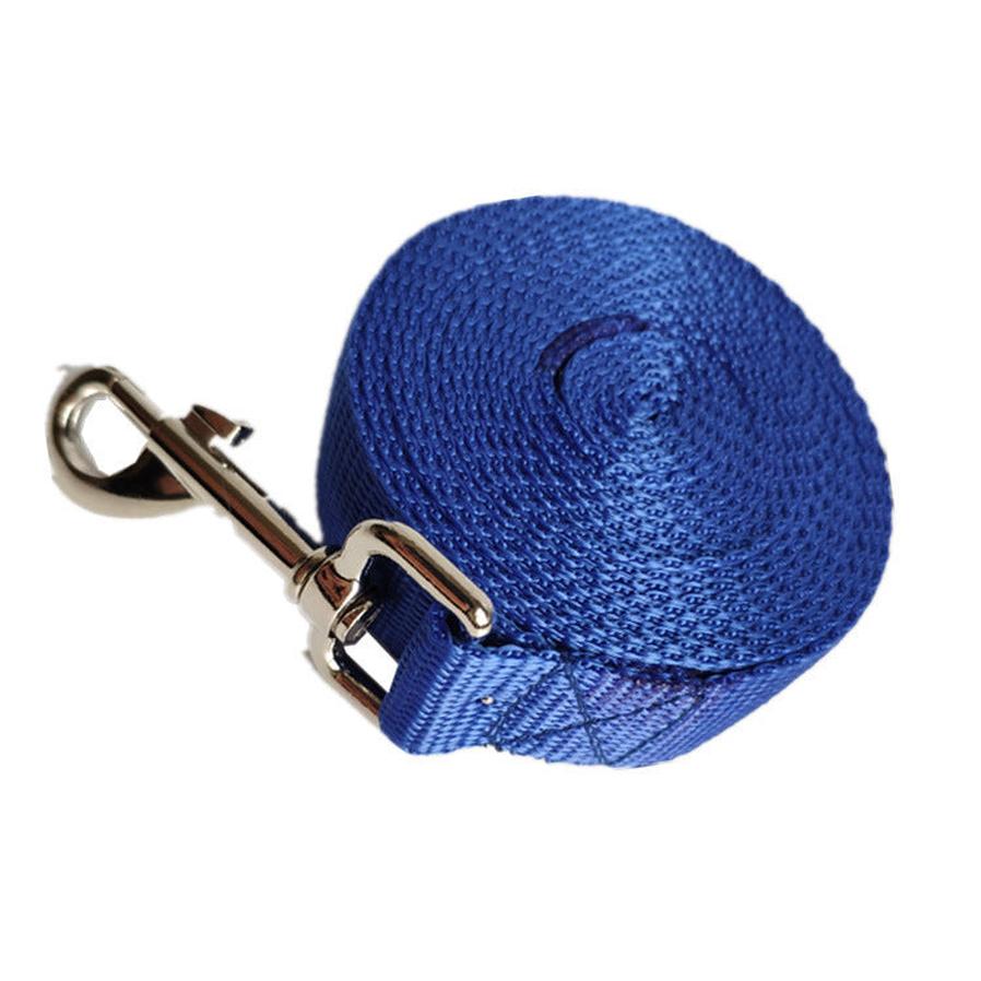 JMT-524874 Durable Nylon Dog Leash - 2.5CM Wide, Multiple Lengths Available in Blue, Black, Red