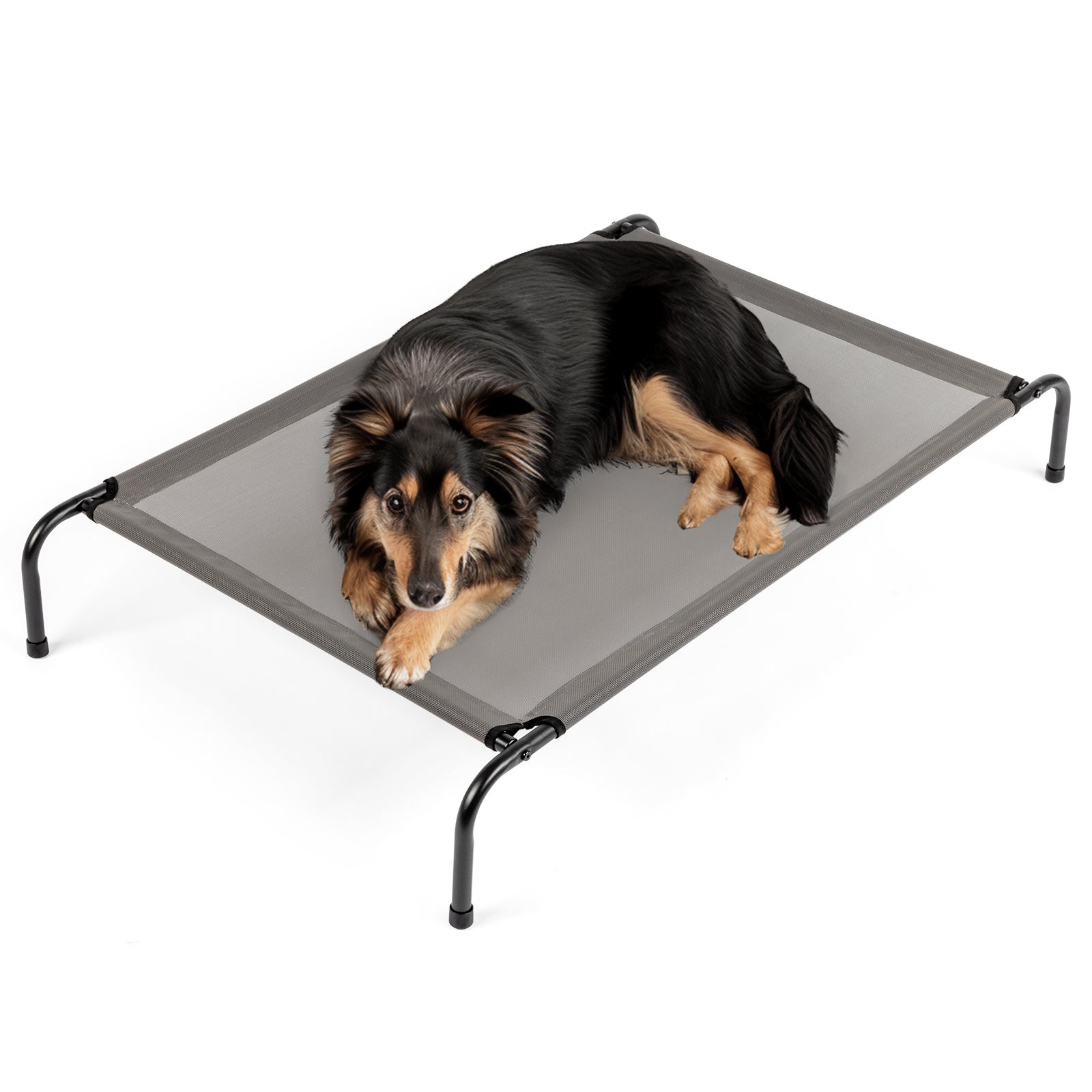 JMT-525834 Elevated Dog Bed with Durable Textilene Mesh, Powder-Coated Steel Frame, 50" x 31" x 8", Gray