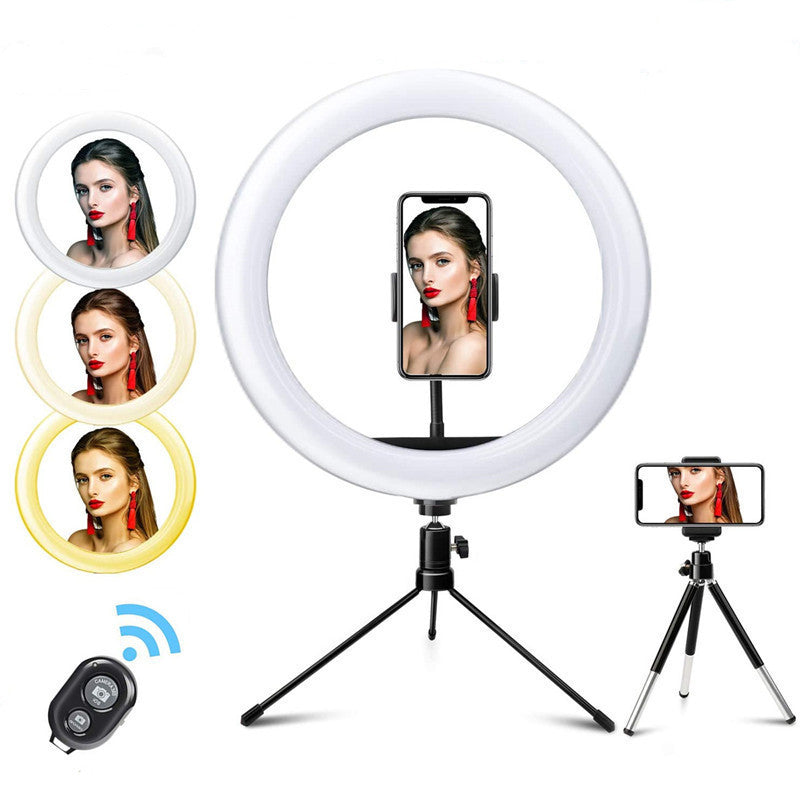 JMT-526538 10 Inch Metal Desktop Bracket Fill Light with Remote Control - 3 Light Modes & 10 Brightness Levels