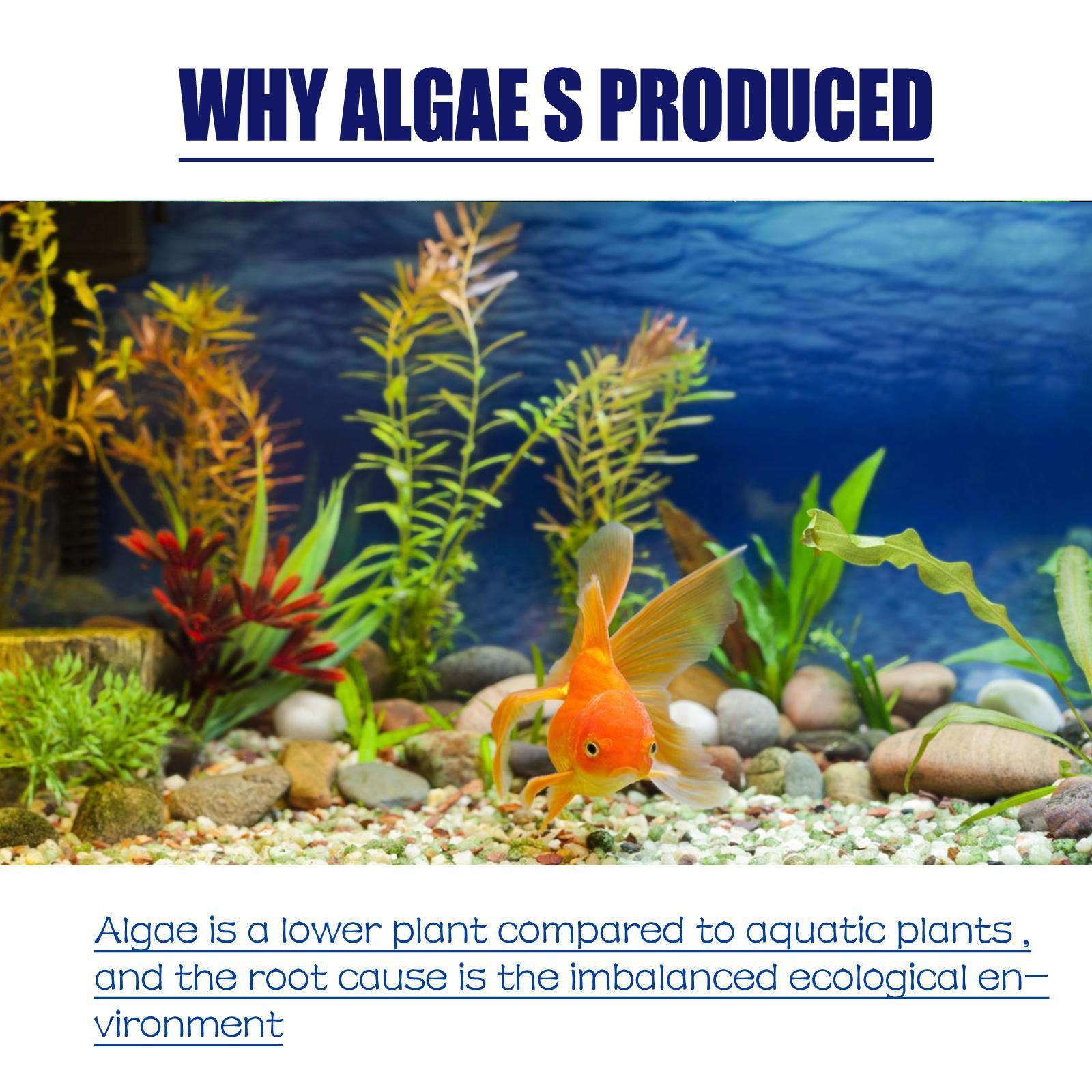 JMT-526858 Lichen Algaecide for Fish Tank Cleaning - Effective Moss and Green Water Algae Remover