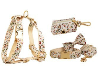 JMT-529162 Small White Flower Dog Collar and Leash Set with Bow and Vest - Five-Piece Accessory Collection