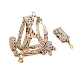 JMT-529162 Small White Flower Dog Collar and Leash Set with Bow and Vest - Five-Piece Accessory Collection