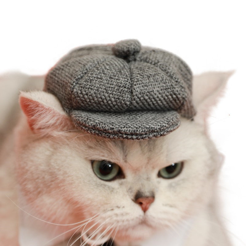 JMT-529802 Gentleman Cat Beret and Tie Photo Props for Adult Cats