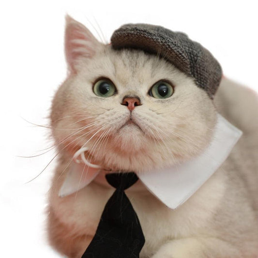 JMT-529802 Gentleman Cat Beret and Tie Photo Props for Adult Cats