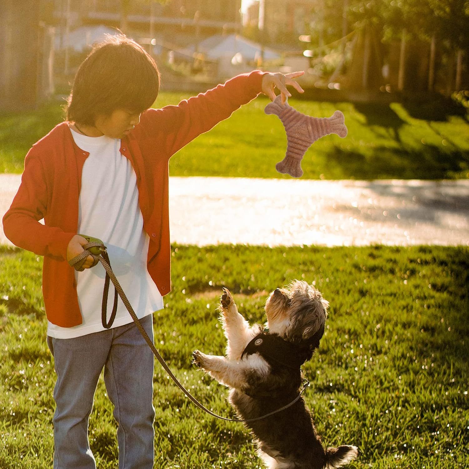 JMT-530122 Puppy Teething Stick and Chew Toy for Dental Care and Playfulness