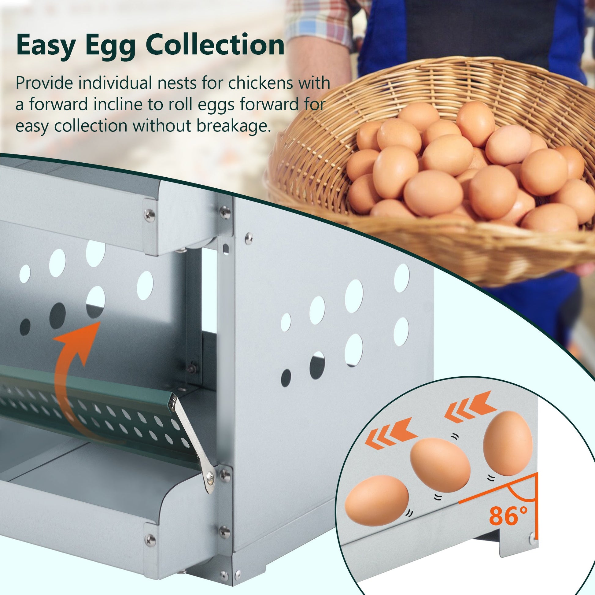 JMT-531146 Roll Away 6 Compartment Chicken Nesting Box with Easy Egg Collection and Cleaning System, Green