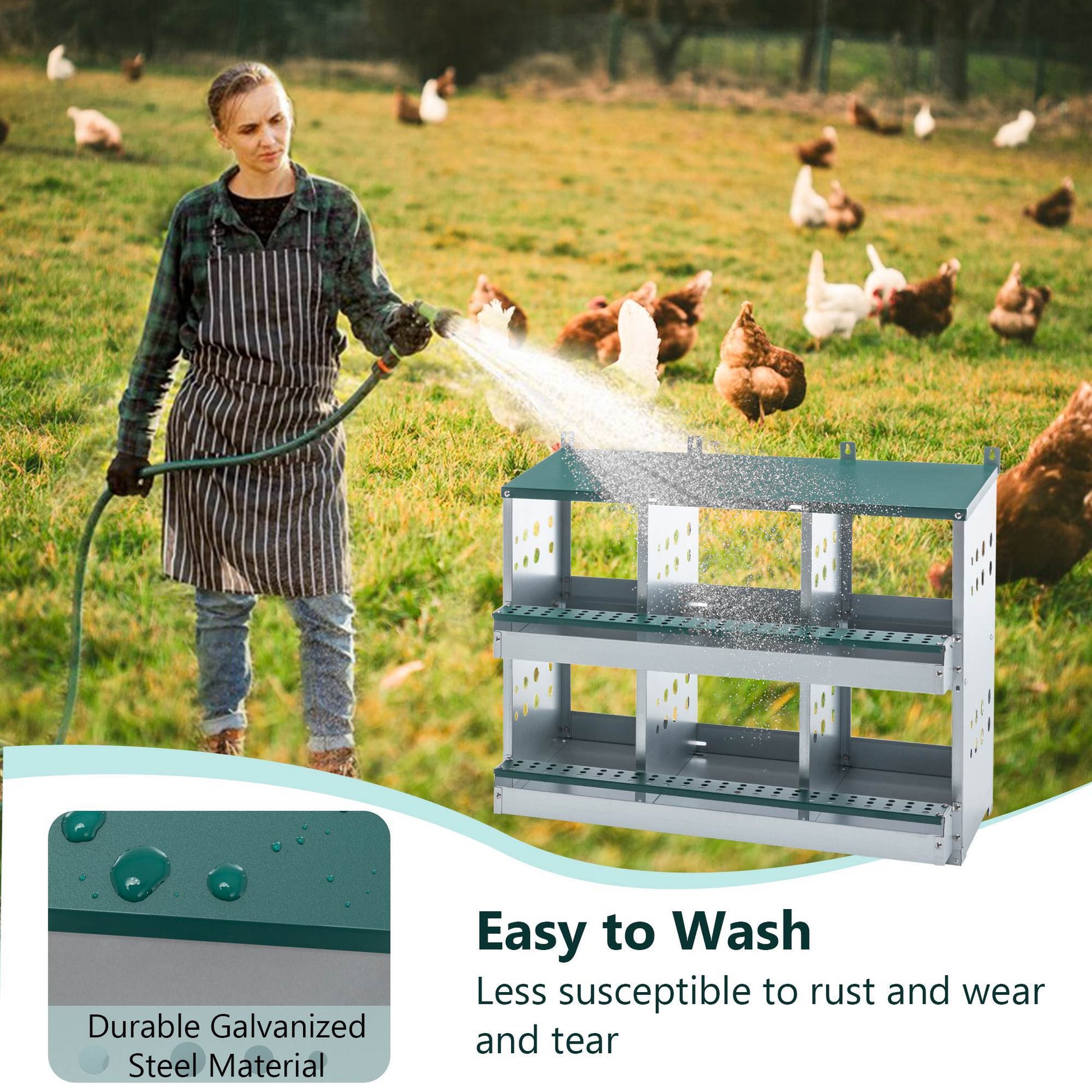 JMT-531146 Roll Away 6 Compartment Chicken Nesting Box with Easy Egg Collection and Cleaning System, Green