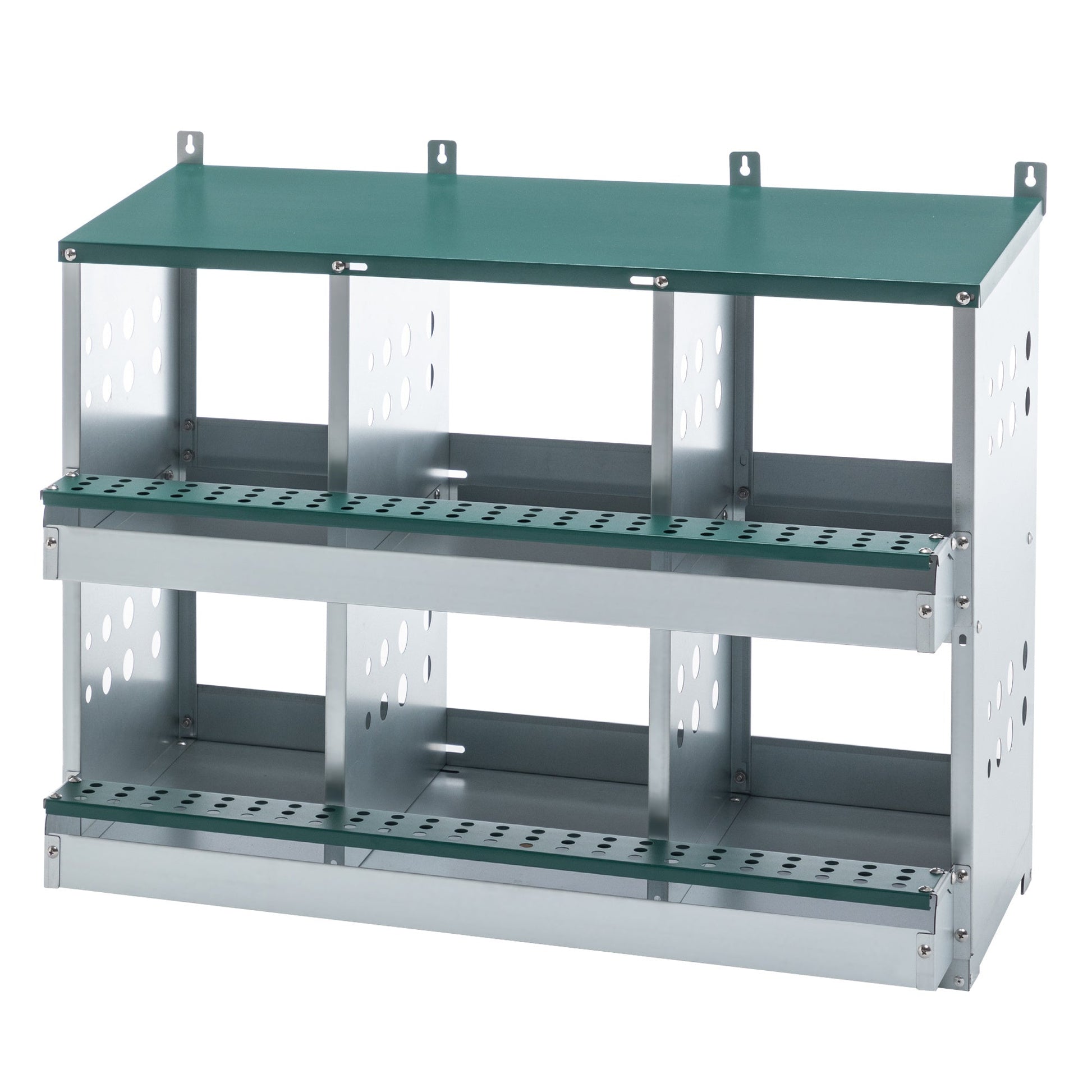 JMT-531146 Roll Away 6 Compartment Chicken Nesting Box with Easy Egg Collection and Cleaning System, Green