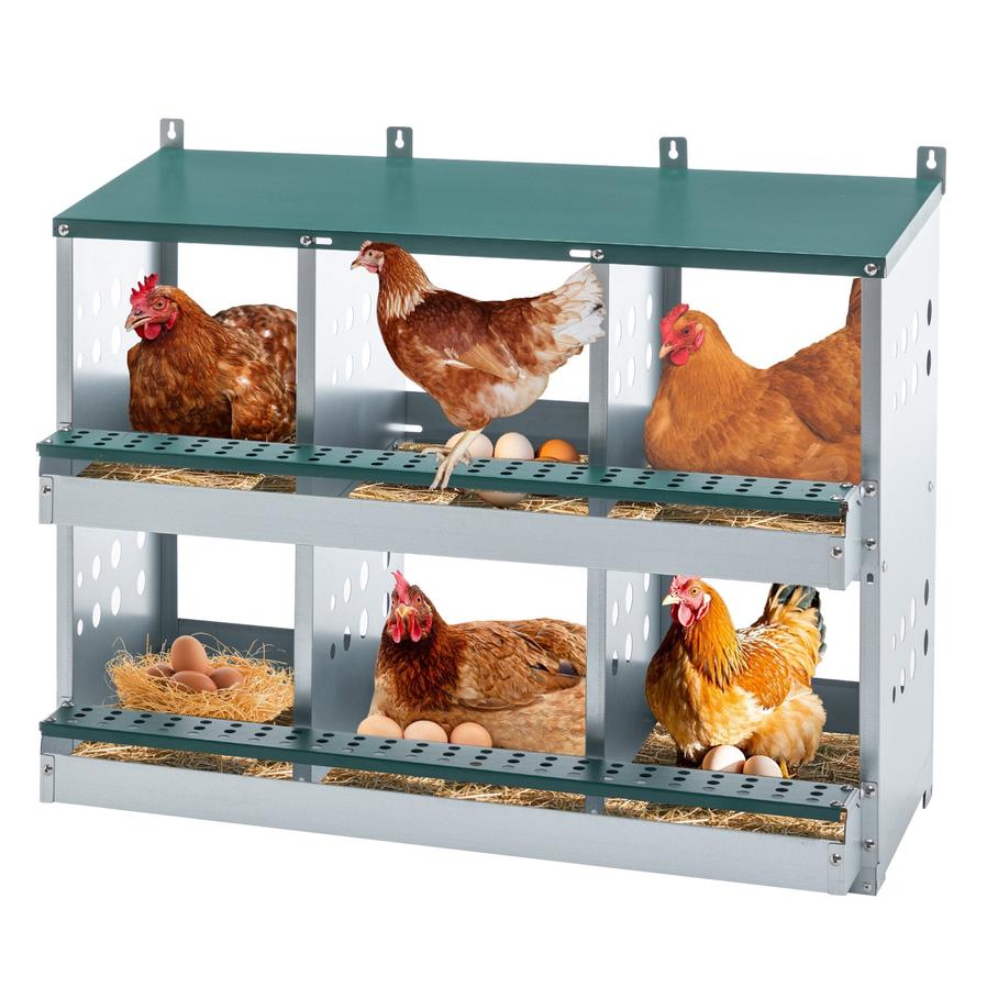JMT-531146 Roll Away 6 Compartment Chicken Nesting Box with Easy Egg Collection and Cleaning System, Green