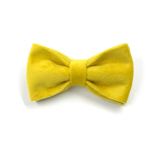 JMT-531786 Rose Gold Buckle Yellow Velvet Dog Collar with Engravable Bow Tie - Available in Multiple Sizes