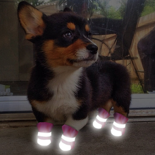 JMT-531914 Breathable Lightweight Dog Shoes in Various Colors