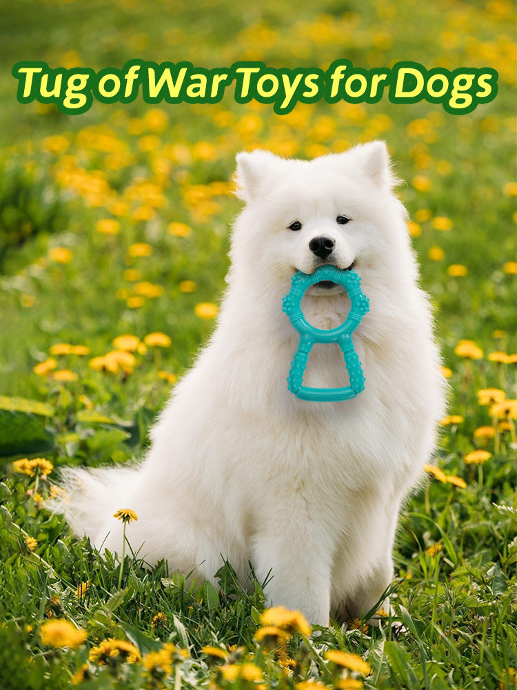 JMT-532426 Interactive Dog Chewing Toy with Teeth Grinding Stick and Pull Ring