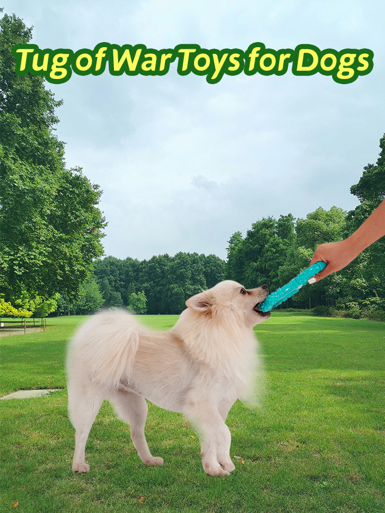 JMT-532426 Interactive Dog Chewing Toy with Teeth Grinding Stick and Pull Ring