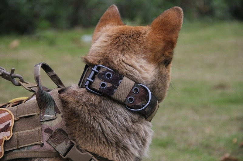 JMT-535242 Adjustable Five-Speed Nylon Pin Buckle Dog Collar - Sizes M, L, XL in Black, Green, Brown, ACU, CP, Sand Number