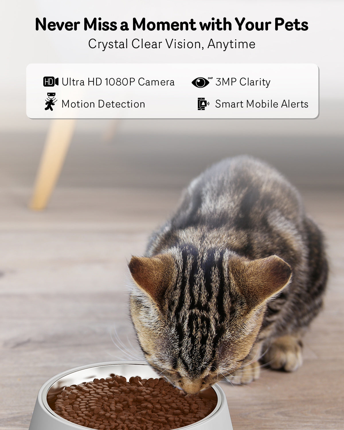 JMT-536714 Automatic Cat Feeder with 1080P HD Camera, Night Vision, 5G WiFi, Two-Way Audio, and 4L Capacity