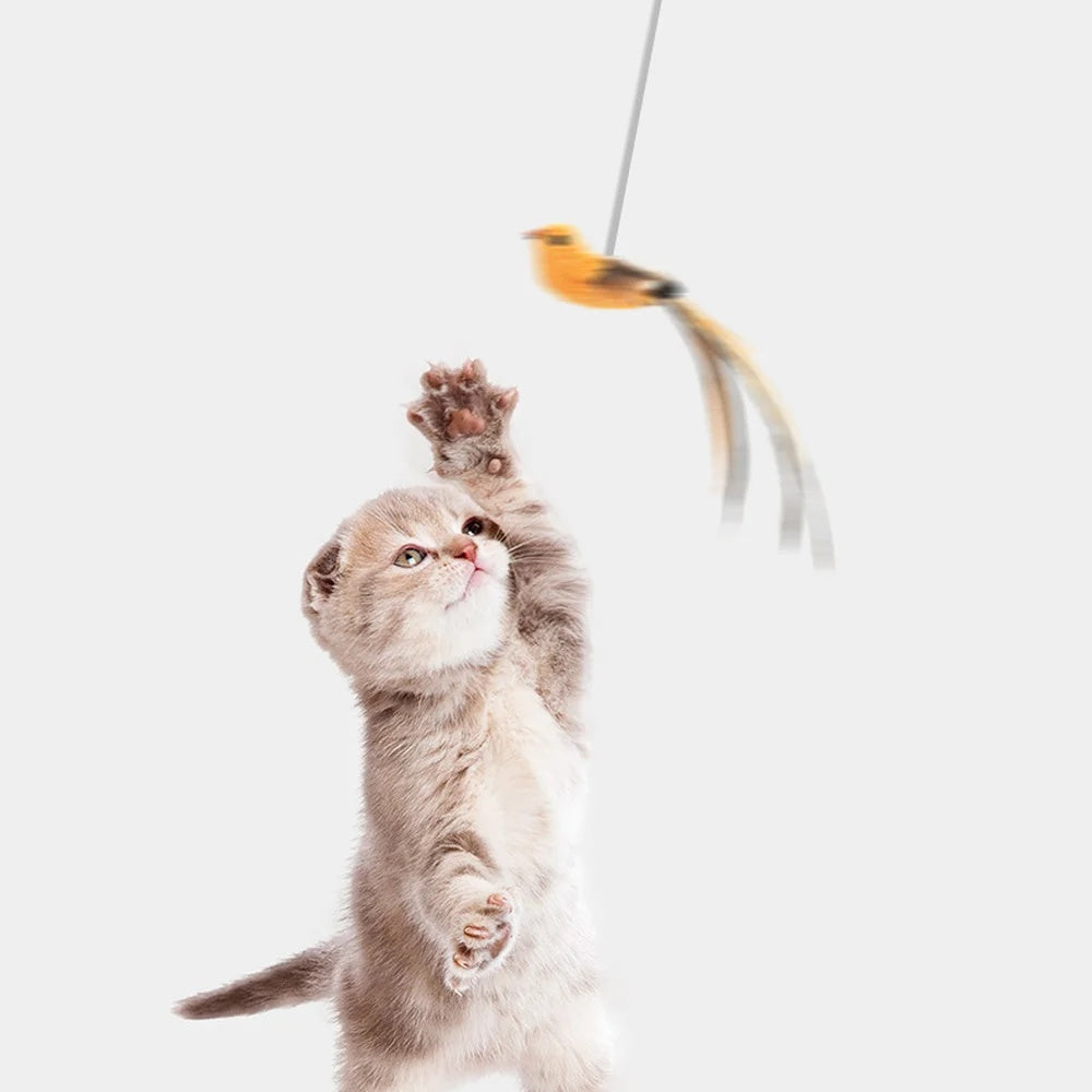 JMT-538186 Automatic Lifting Motion Cat Toy with Interactive Teasing Feather for Engaging Playtime Activities