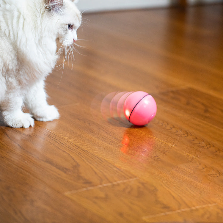 JMT-539338 USB Laser Cat Toy with Timer Function - Interactive Plastic Sounding Toy for Feline Fun
