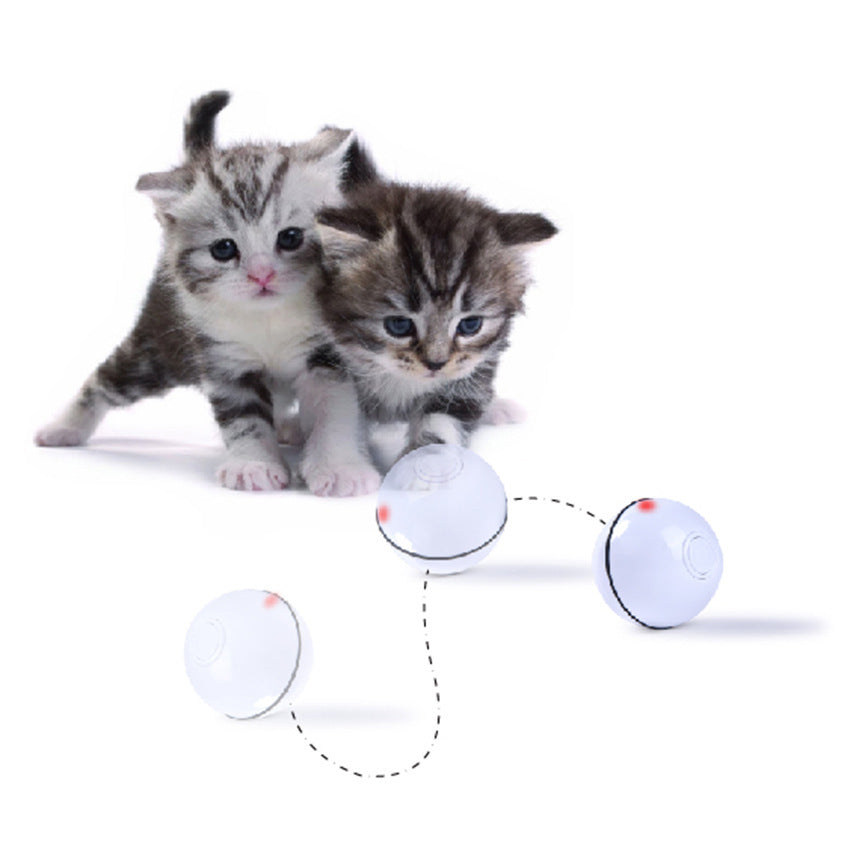 JMT-539338 USB Laser Cat Toy with Timer Function - Interactive Plastic Sounding Toy for Feline Fun