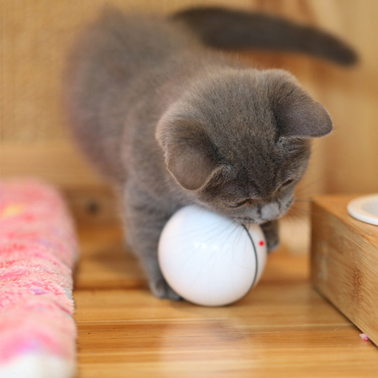 JMT-539338 USB Laser Cat Toy with Timer Function - Interactive Plastic Sounding Toy for Feline Fun