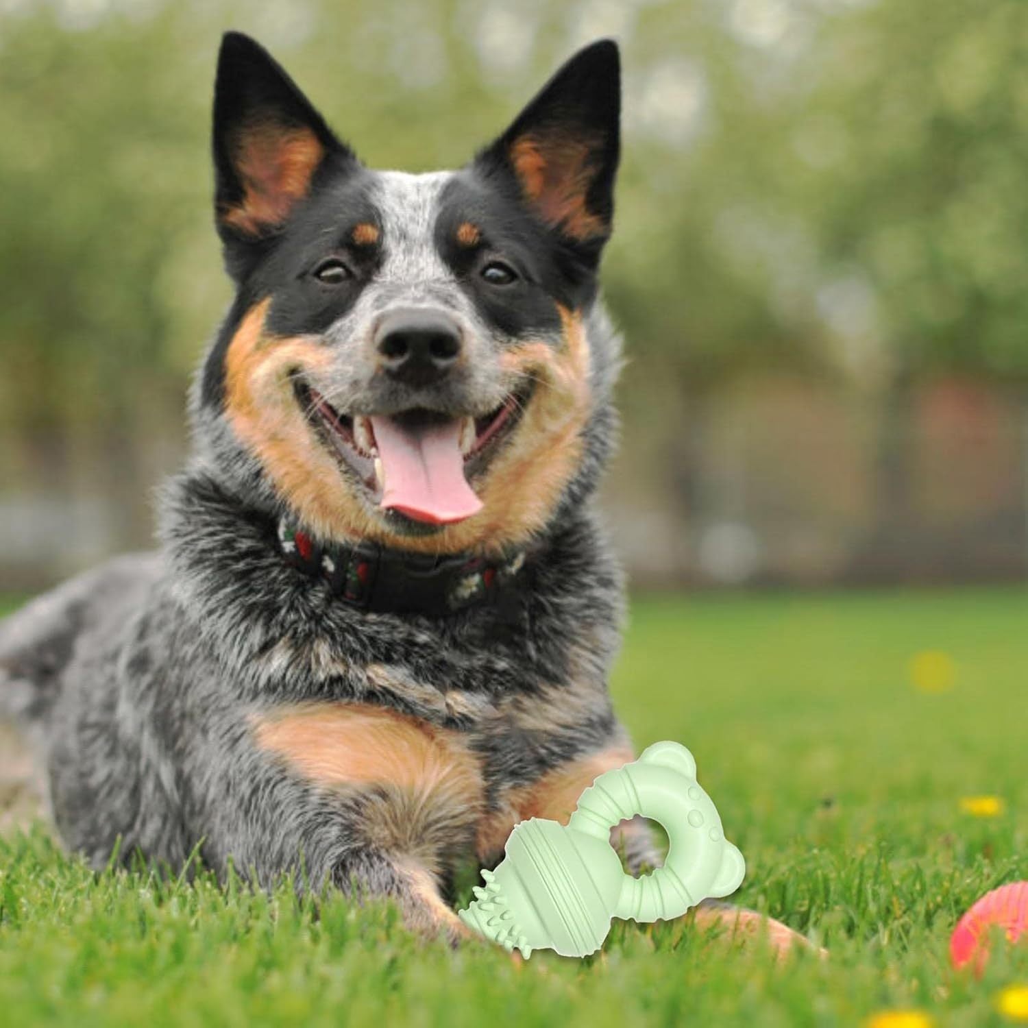 JMT-541322 Durable Teeth Cleaning Chew Toy for Dogs and Cats – Designed for Teething Relief and Stress Reduction