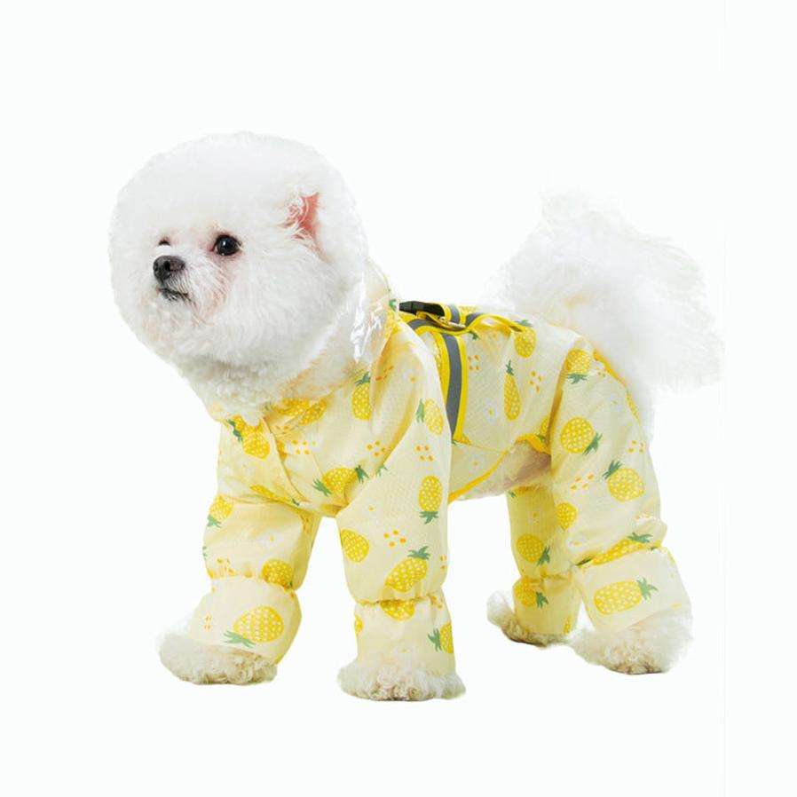 JMT-541962 Waterproof Raincoat for Dogs with Fun Fruit Prints in Multiple Sizes