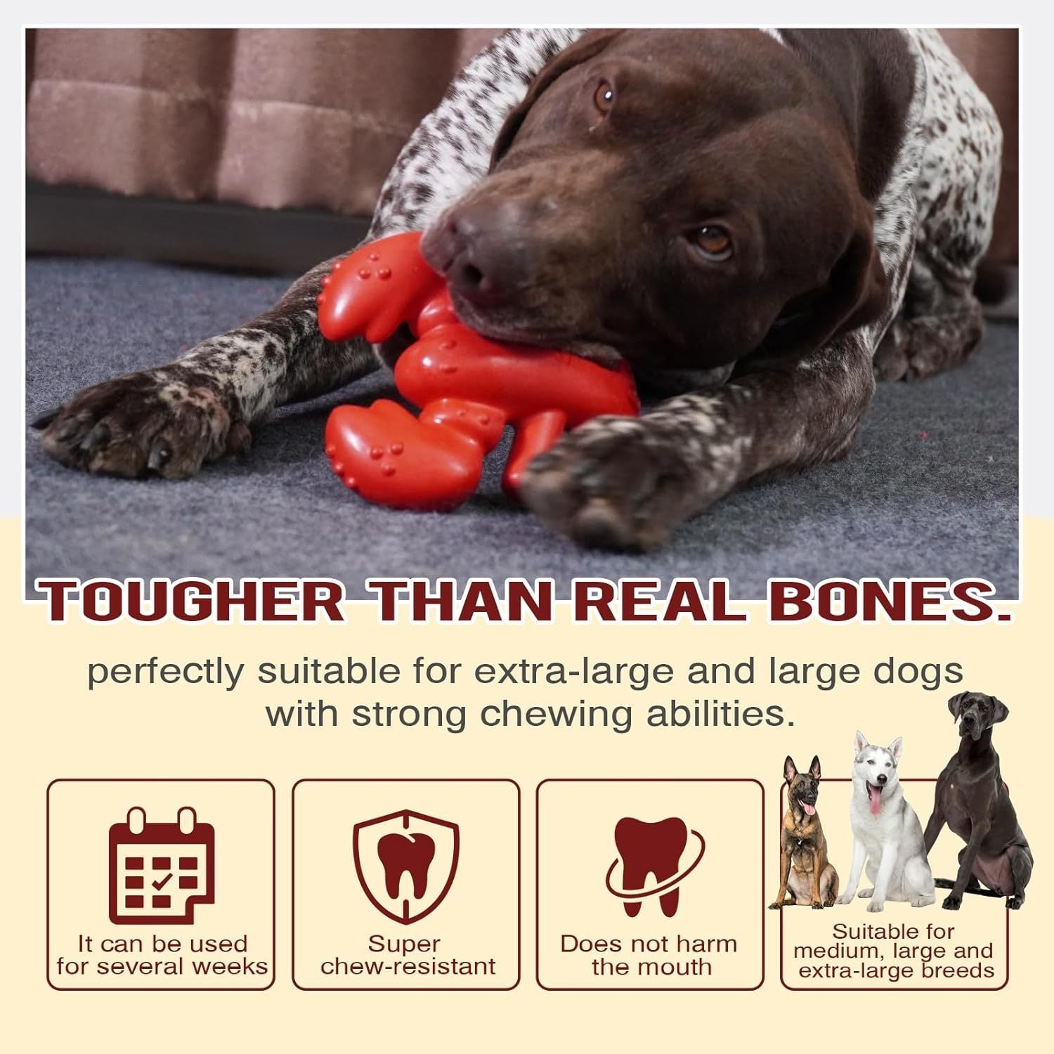 JMT-542474 Durable Chew Toy for Large & Medium Dogs - Ideal for Aggressive Chewers, Teeth Cleaning, and Playtime