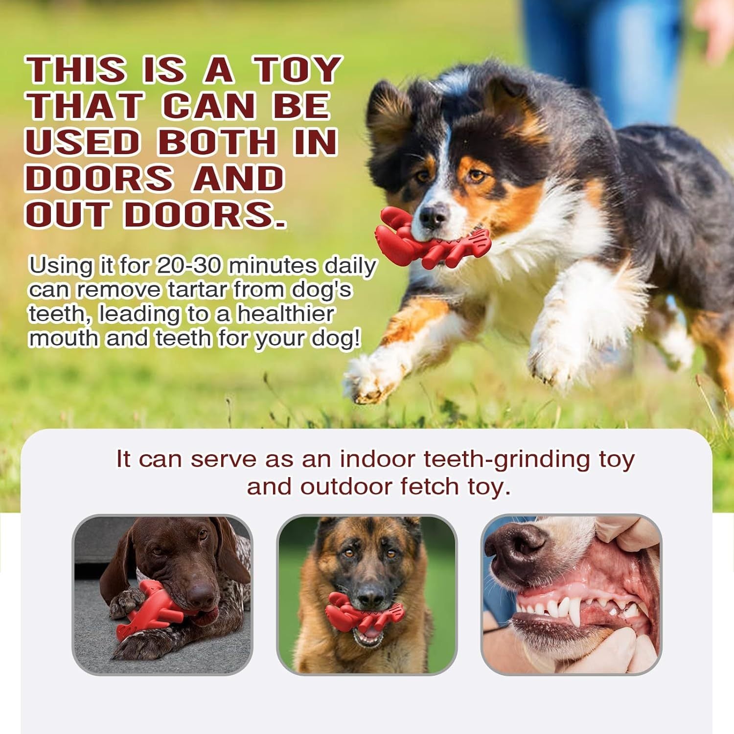 JMT-542474 Durable Chew Toy for Large & Medium Dogs - Ideal for Aggressive Chewers, Teeth Cleaning, and Playtime