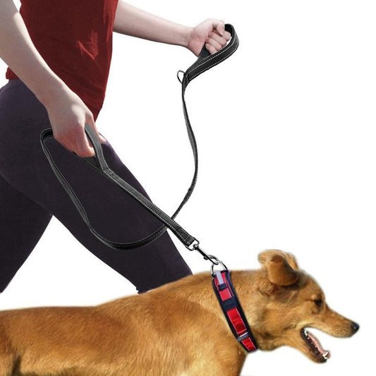 JMT-546442 Double Handle Pet Leash with Reflective Strip and Metal Buckle for Comfort and Convenience