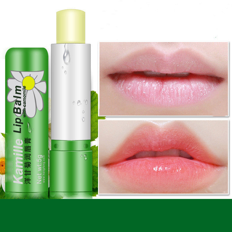 JMT-548362 Chamomile Infused Moisturizing Repair Lip Balm for Chapped Lips