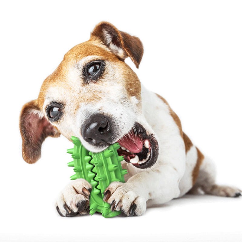 JMT-551370 Durable Dog Toothbrush Chew Toy for Medium to Large Dogs - Cactus Design for Dental Care and Cleaning