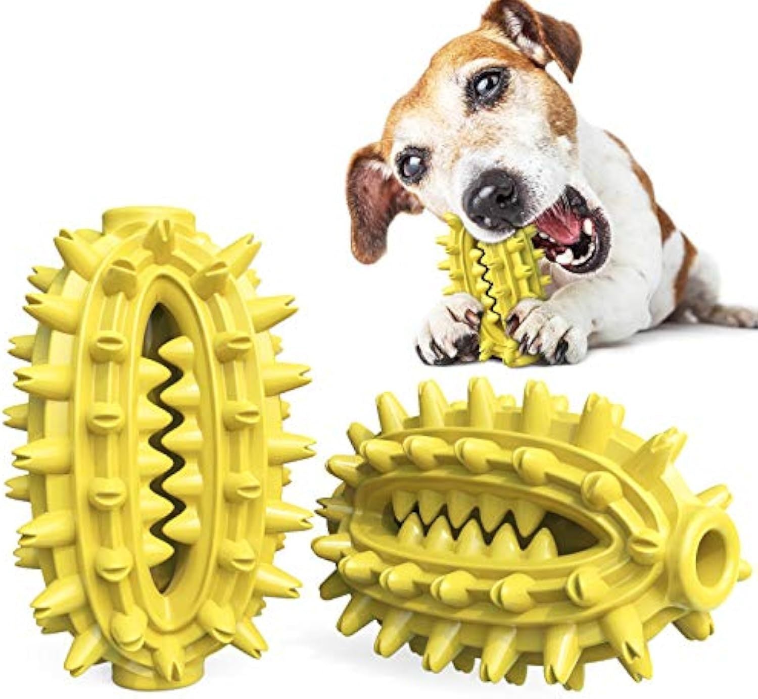 JMT-551370 Durable Dog Toothbrush Chew Toy for Medium to Large Dogs - Cactus Design for Dental Care and Cleaning