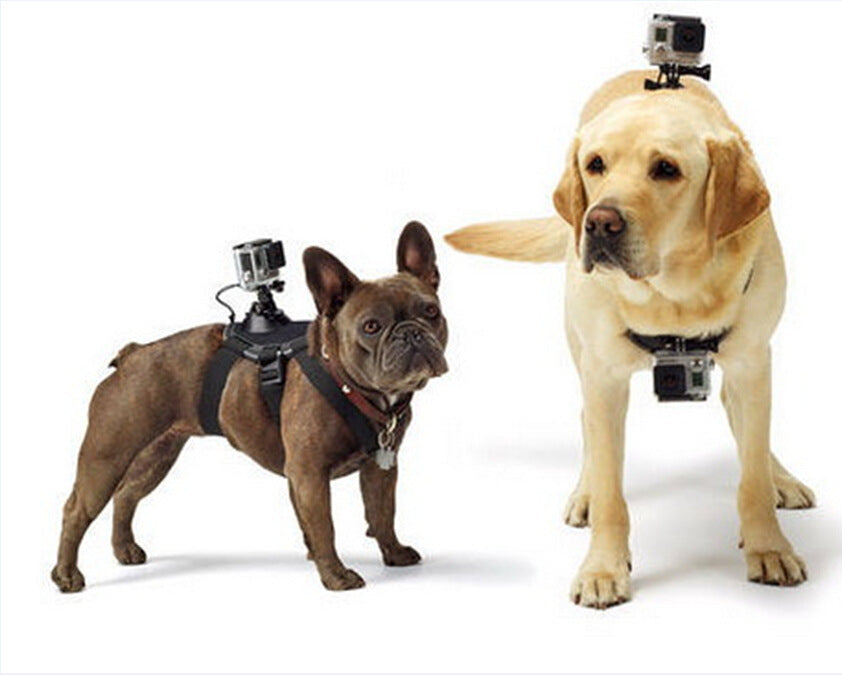 JMT-553034 Adjustable Dog Chest Strap for GoPro Camera – Ideal for Capturing Adventures from Your Pet's Perspective