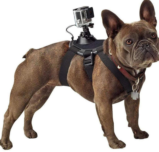 JMT-553034 Adjustable Dog Chest Strap for GoPro Camera – Ideal for Capturing Adventures from Your Pet's Perspective
